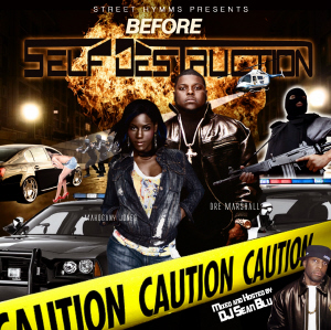Before Self Destruction : Mixed and hosted by DJ Sean Blu (Mixtape)